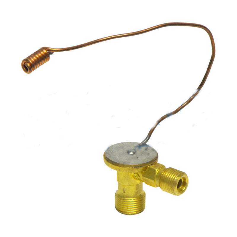 Transtar Ac A C Expansion Valve Acev Transend