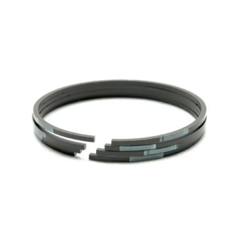 Transtar Sealing Ring 101175D