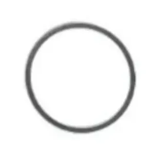 Precision International Sealing Ring 105177