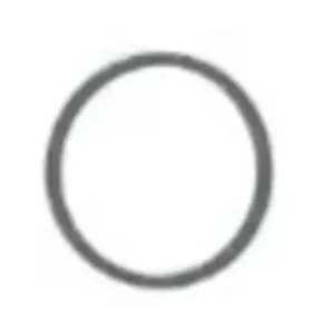 Precision International Sealing Ring 105178