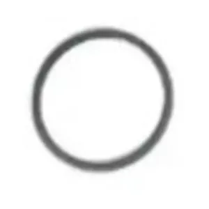 Precision International Sealing Ring 105179