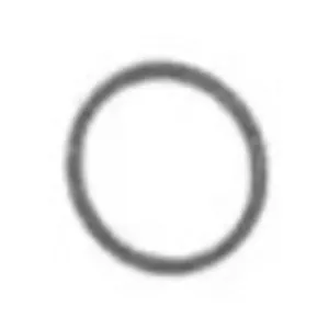 Precision International Sealing Ring 105182