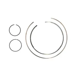 Transtar Snap Ring Kit 105860BK
