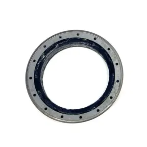 Original Equipment Metal Clad Seal 126070