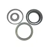 Transtar Piston Kit 144960FK