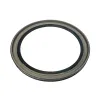 Bonded Piston; Low / Reverse