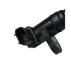 Rostra Sensor 30438B