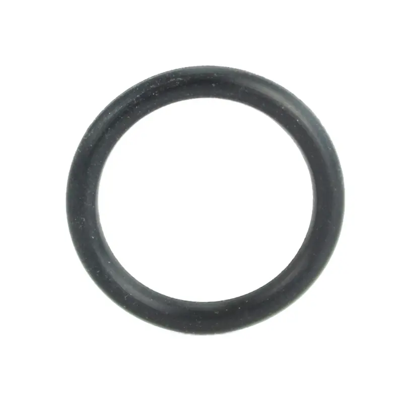 Transtec O-Ring 44369B