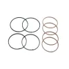 Transtec Sealing Ring Kit 48175E