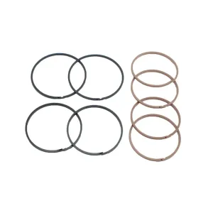 Transtec Sealing Ring Kit 48175E