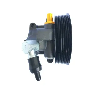 Plews & Edelmann New Power Steering Pump with Pulley and Pipe 6004PX
