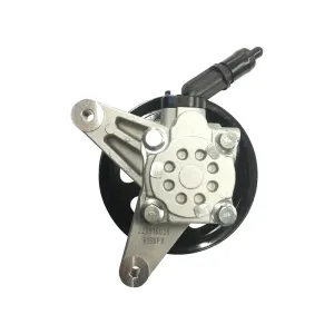 Edelmann New Power Steering Pump with Pulley and Pipe 6168PX