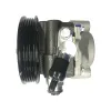 Edelmann New Power Steering Pump with Pulley and Pipe 6180PX