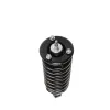 PRT PRT Suspension Strut and Coil Spring Assembly 710002