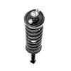 PRT Suspension Strut and Coil Spring Assembly 710076