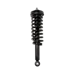 PRT Suspension Strut and Coil Spring Assembly 710078