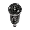 PRT Suspension Strut and Coil Spring Assembly 710078