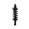 PRT Suspension Strut and Coil Spring Assembly 710080