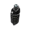 PRT Suspension Strut and Coil Spring Assembly 710080