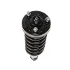 PRT Suspension Strut and Coil Spring Assembly 710081