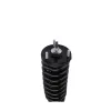 PRT PRT Suspension Strut and Coil Spring Assembly 710099