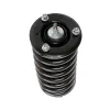 PRT PRT Suspension Strut and Coil Spring Assembly 710307
