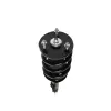 PRT PRT Suspension Strut and Coil Spring Assembly 711350