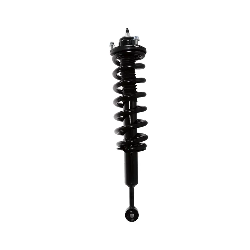 PRT PRT Suspension Strut and Coil Spring Assembly 713198L