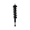 PRT PRT Suspension Strut and Coil Spring Assembly 713198L