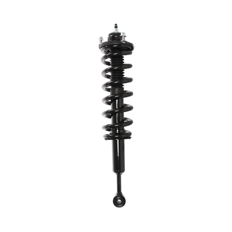 PRT PRT Suspension Strut and Coil Spring Assembly 713198R