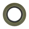 Transtar Differential Rebuild Kit 721A004