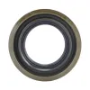 Transtar Differential Bearing Kit 724B004