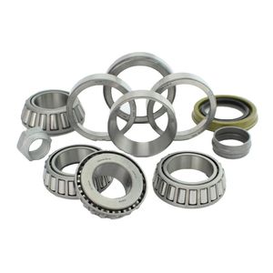 Transtar Differential Bearing Kit 742D004A