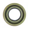 Transtar Differential Bearing Kit 742J004