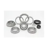 Transtar Differential Rebuild Kit 743G004