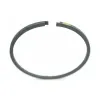 Filtran Sealing Ring 76179