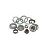 Transtar Differential Bearing Kit 762A004