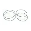 Transtec Sealing Ring Kit 807175A