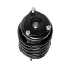 PRT PRT Suspension Strut and Coil Spring Assembly 813492
