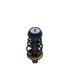PRT PRT Suspension Strut and Coil Spring Assembly 815376