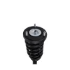 PRT PRT Suspension Strut and Coil Spring Assembly 816705