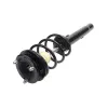 PRT PRT Suspension Strut and Coil Spring Assembly 920013