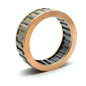 BorgWarner Sprag A134654