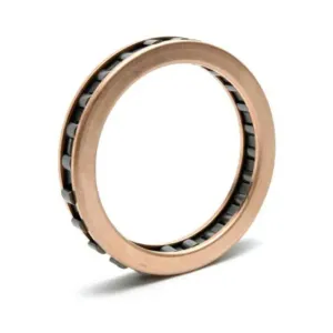 BorgWarner Sprag A38658A