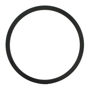 Filtran Pump Vane Ring A54538BS