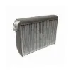 Transtar AC A/C Evaporator Core ACEC-4068