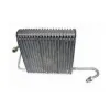 Transtar AC A/C Evaporator Core ACEC-8882