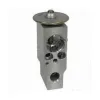 Transtar AC A/C Expansion Valve ACEV-0193