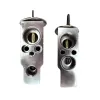 Transtar AC A/C Expansion Valve ACEV-1168