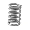 ANSA Exhaust Spring APE-HW3001